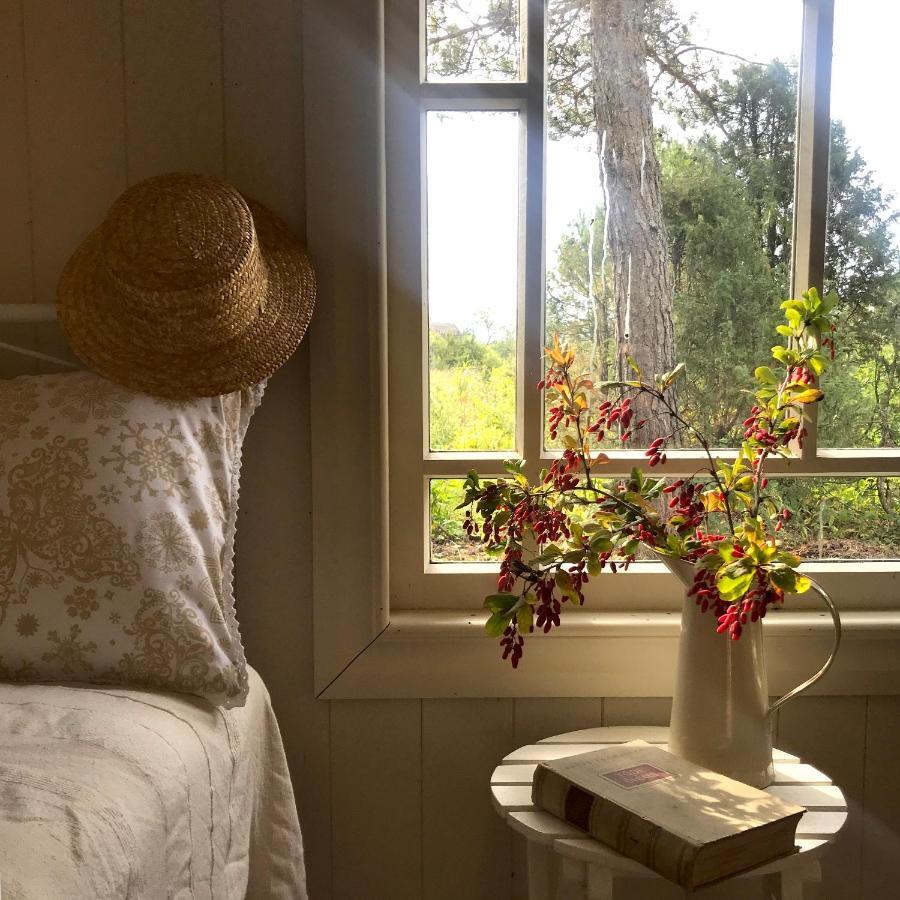 Paehkli Seaside Cottage With Cozy Outdoor Patio Koiguste Bagian luar foto