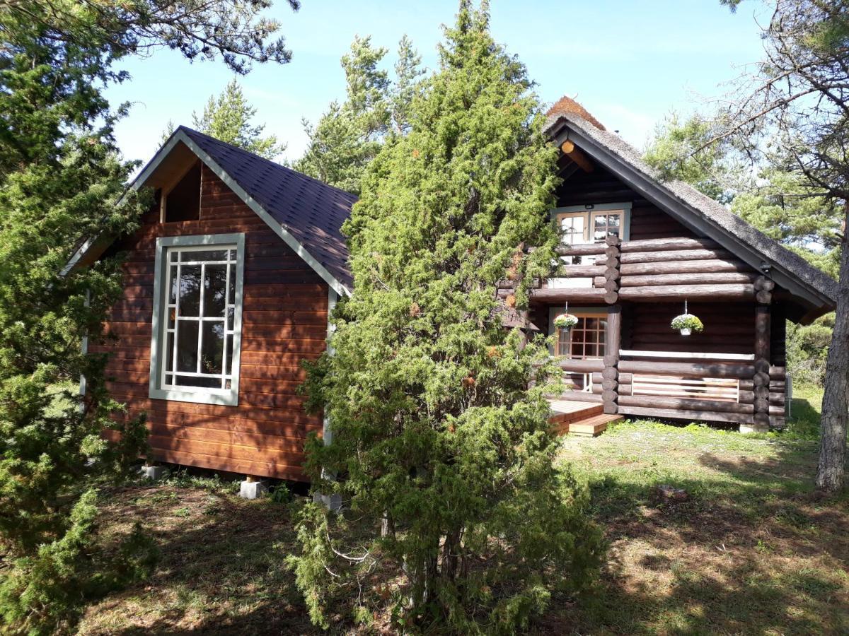 Paehkli Seaside Cottage With Cozy Outdoor Patio Koiguste Bagian luar foto