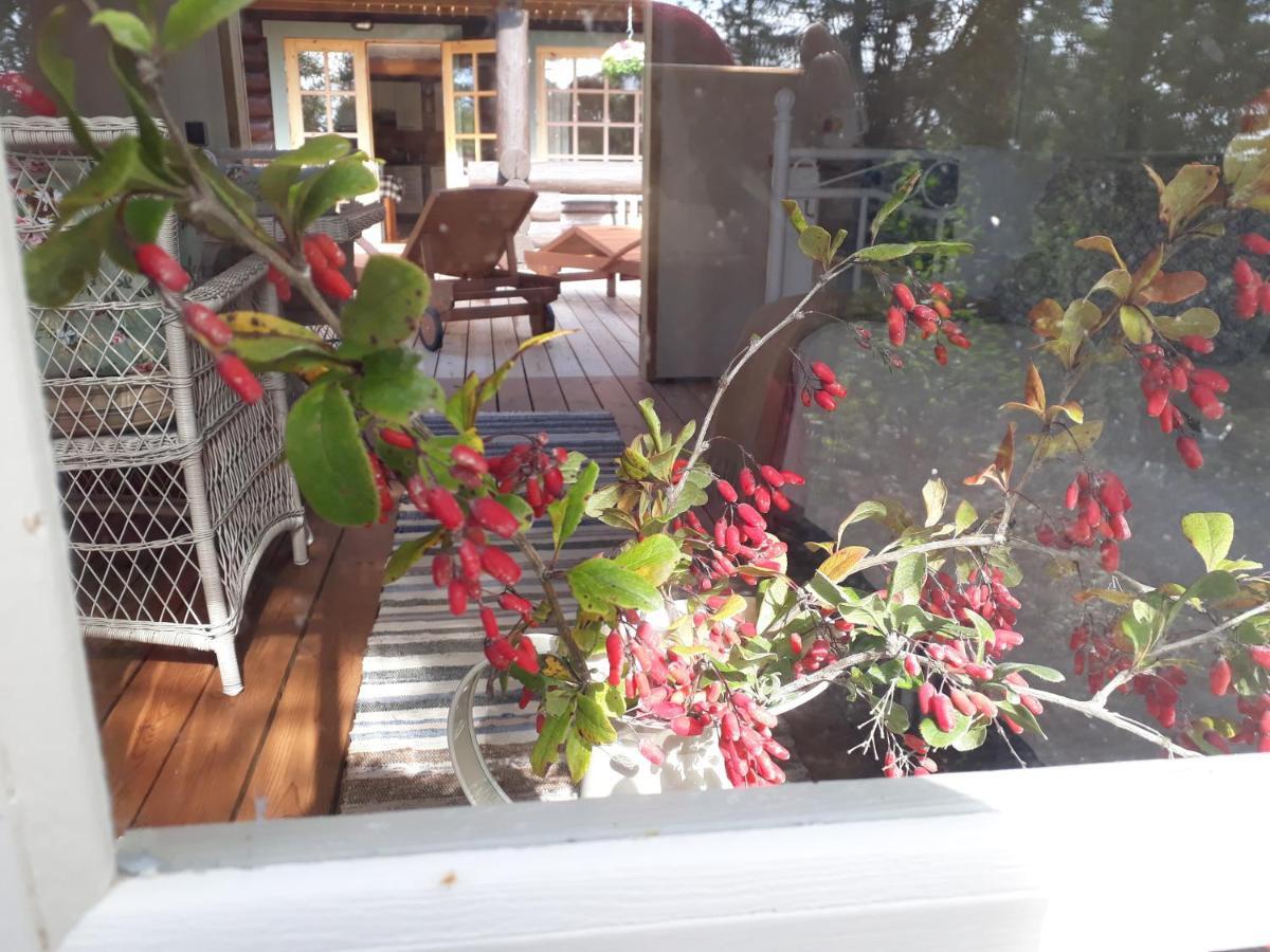 Paehkli Seaside Cottage With Cozy Outdoor Patio Koiguste Bagian luar foto